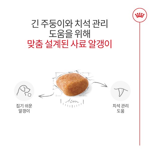 로얄캐닌 독 푸들 어덜트 8+ 1.5kg 피모관리 이미지 4