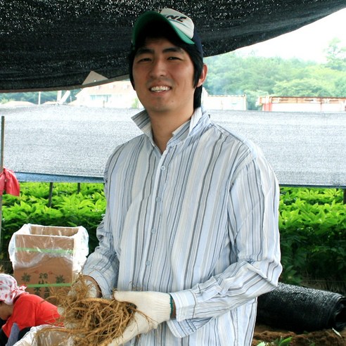 금산인삼 오쿠용 1회분 세척 인삼 수삼 난발 원삼(250g) 실사용 후기 | 효과 있을까? - 상품 이미지 3