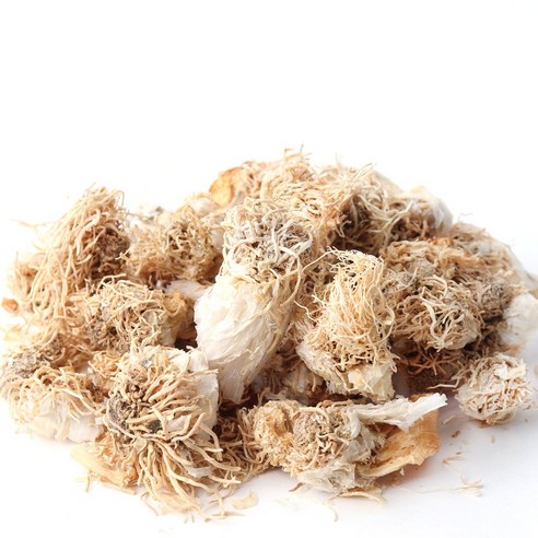 동의한재 국산 파뿌리 대파뿌리 총백 500g, 1개 이미지 4
