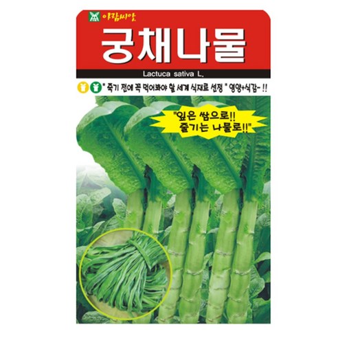 궁채나물 씨앗 종자 씨, 2개