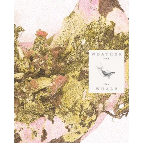 (영문도서)Weather and the Whale Paperback, Institute of the Arts and S..., English, 9781517921712