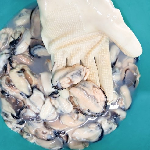 집에서 즐기는 신선하고 쫄깃한 남해안 깐홍합살