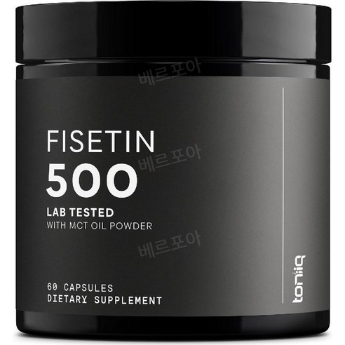 토니크 피세틴 Fisetin 500mg 60캡슐 Toniiq