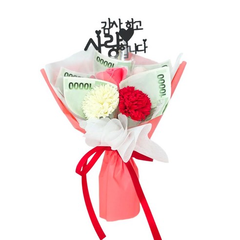 [란플라워] 어버이날 카네이션 미니 용돈 꽃다발, 5송이 미니 용돈꽃다발 레드, 1개