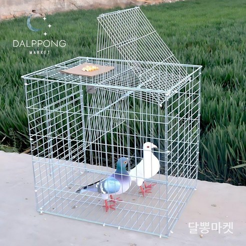 조류 회전 포획틀 비둘기 트랩 포획망 새덫 조류케이지