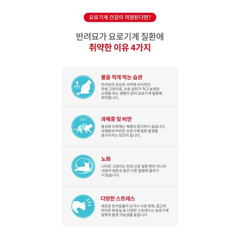 로얄캐닌 캣 유리너리 케어 기능성 사료 이미지 3