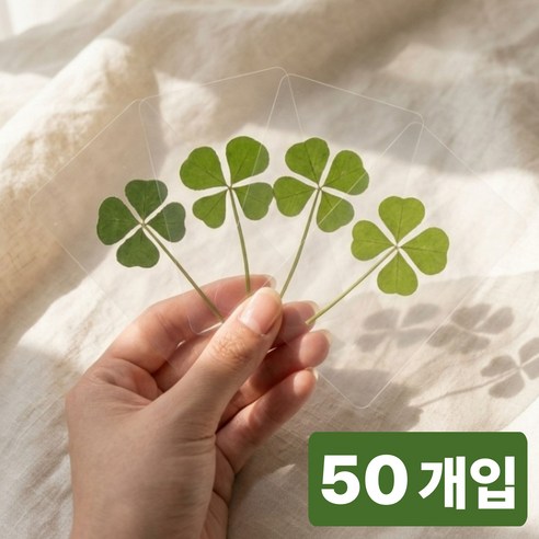 러빅 네잎클로버 코팅카드 책갈피 행운선물 합격 응원, 50개, 투명