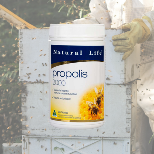 [호주직배송] 네츄럴 라이프 프로폴리스 2000 365캡슐, 365정, 1개
