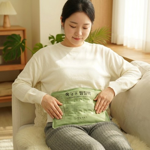 한일의료기 황토냉온 찜질팩 쑥 대형, 1개