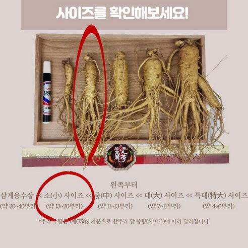 실속형 6년근 5년근 인삼 무료세척 다당체 풍부한 난발인삼 한보인삼사 실사용 후기 | 효과 있을까? - 상품 이미지 3