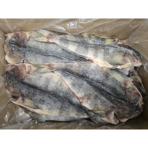 임연수 손질 할복 이면수 5kg 생선구이 업소용 - 임연수 | 쿠팡
