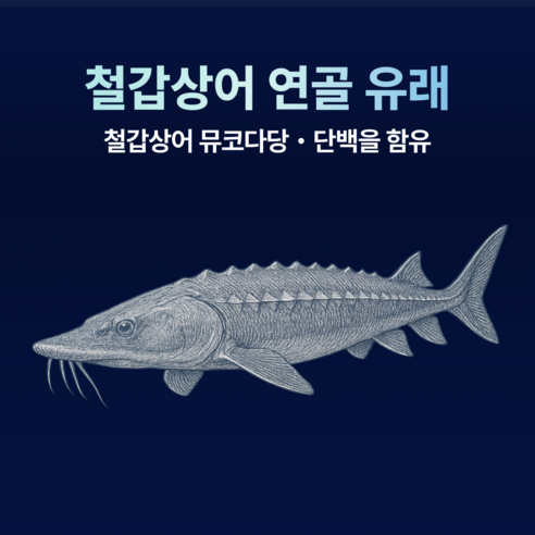 뉴트리케이 C6S 6형 뮤코다당단백 철갑상어 연골 콘드로이친 1200 MBP 식약청인증 HACCP 60정, 1개 이미지 4