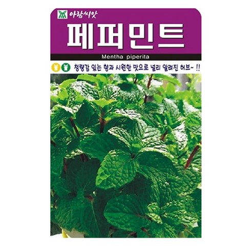 아람종묘 허브 페퍼민트 씨앗, 1개