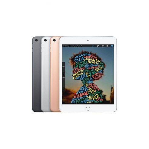 아이패드 미니5세대 64GB A2133, Wi-Fi, B급 랜덤색상