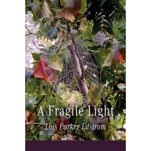 (영문도서)A Fragile Light Paperback, Moonpath Press, English, 9798989948819