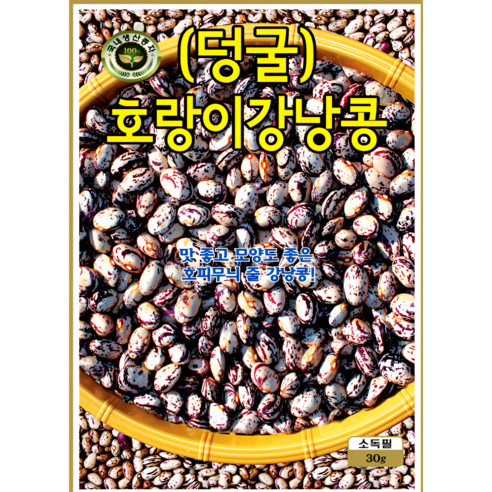 KS종묘 호랑이덩굴강낭콩 씨앗 30g 줄강낭콩 재래종 종자 ks, 1개