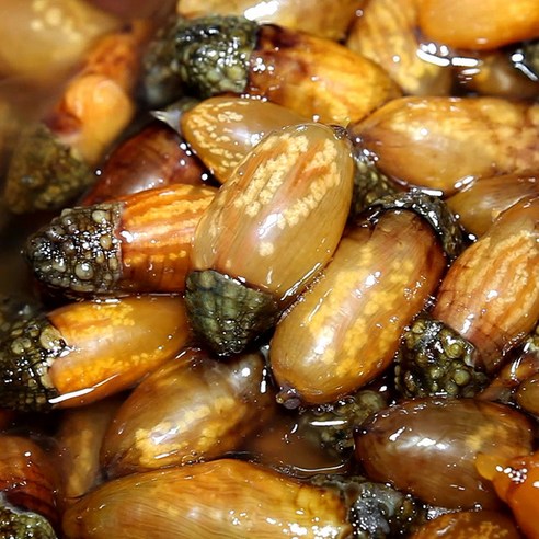 바닷속 보물을 집에서 즐기는 법 미더덕