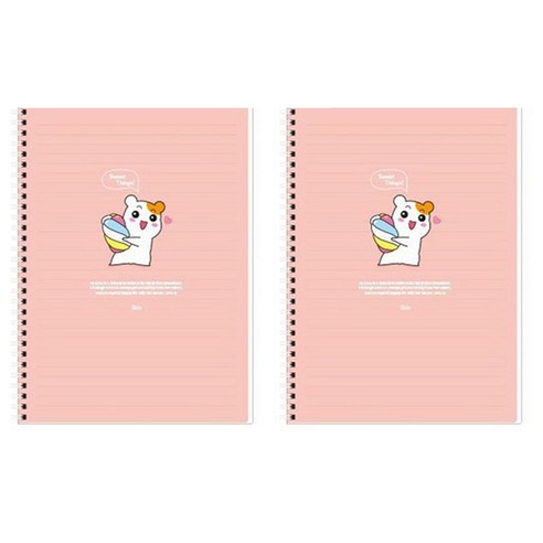 아이비스 에비츄 좌철스프링노트, 피치, 2개