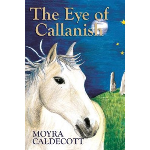 (영문도서)The Eye of Callanish Paperback, Bladud Books, English, 9781843194293
