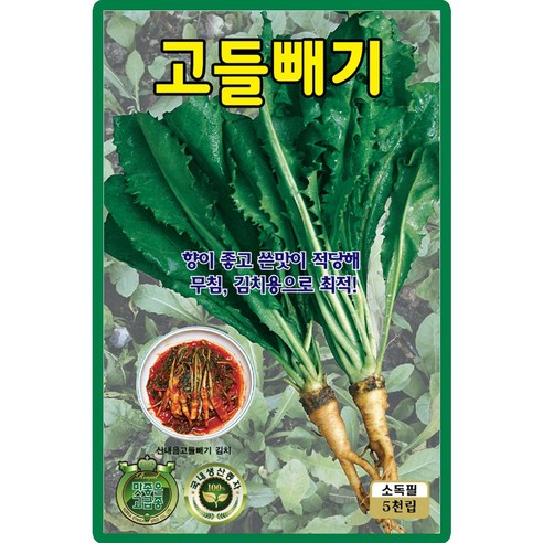 산들마켓 고들빼기 씨앗 5000립 고들빼기씨 종자, 1개