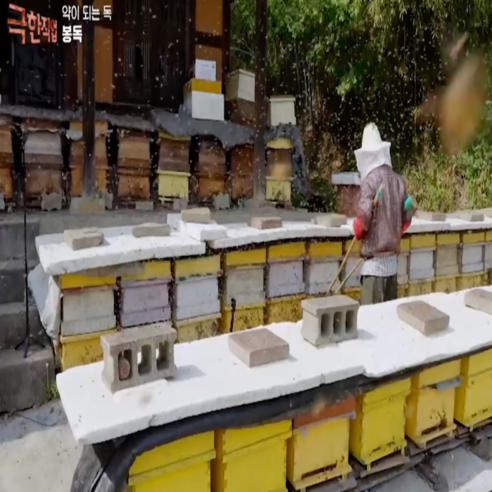 산지직송 100% 국내산 천연 야생화 벌집 꿀 200g, 1개 맛있게 먹은 솔직 후기 - 상품 이미지 4