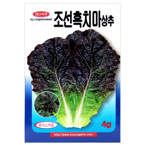 세인화분 조선 흑치마 상추 4g - 상추씨 채소 씨 씨앗, 1개