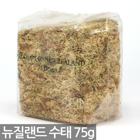 프리미엄 뉴질랜드 수태 1P - 모스 천연 호접란 난 란 동양 서양 풍란 석부작 토피어리 이끼, 1개