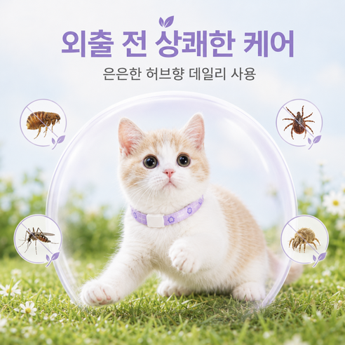 반려동물 허브향 산책용 목걸이 강아지 고양이 겸용 목둘레 조절 데일리 향기 케어 목걸이, 1개, 퍼플