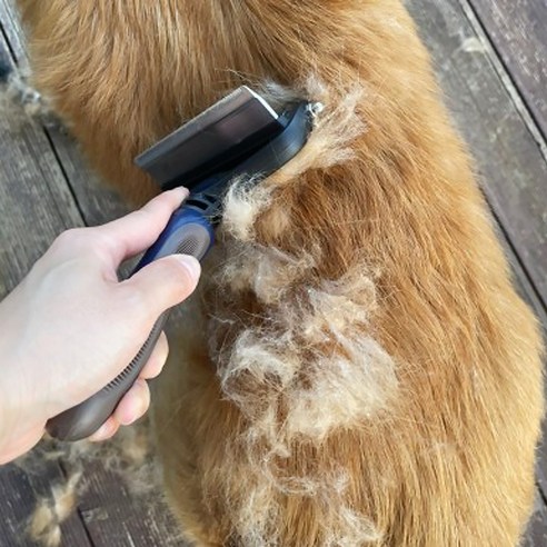 독스랩 강아지 털갈이 빗 디디브러시 엉킨털 죽은털 제거 고양이 솔직 후기 | 실제 사용자 리뷰 총정리 - 상품 이미지 2