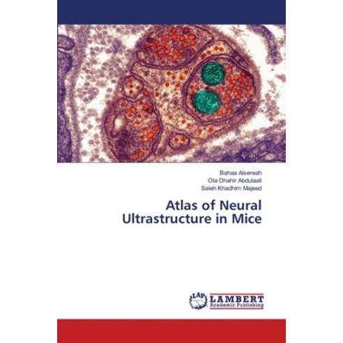 (영문도서)Atlas of Neural Ultrastructure in Mice Paperback, LAP Lambert Academic Publis..., English, 9786630195927