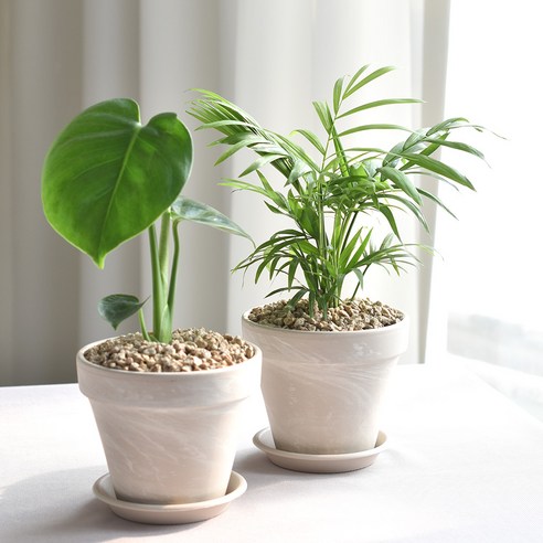 숨 쉬는 집, 맑은 공기로 채우세요