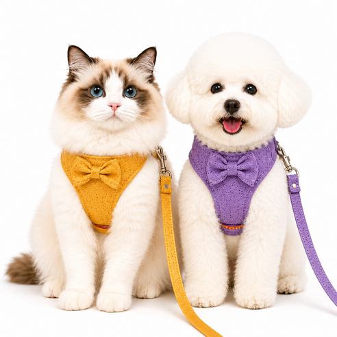 반려동물 리본 하네스 리드줄 세트 고양이 강아지 산책 가슴줄, 1개, 옐로우