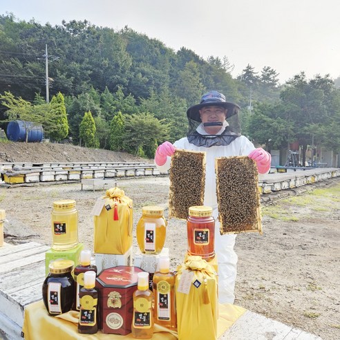 지리산 산청 자연산 야생잡화꽃 사양벌꿀 2.4kg, 1개 솔직 후기 | 실사용자 리뷰 분석 - 상품 이미지 2