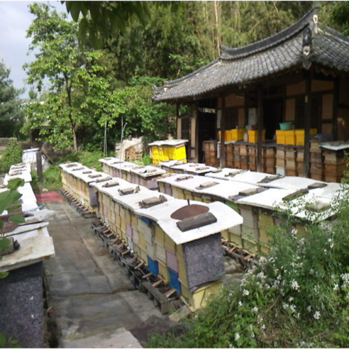 산지직송 100% 국내산 천연 야생화 벌집 꿀 200g, 1개 이미지 3