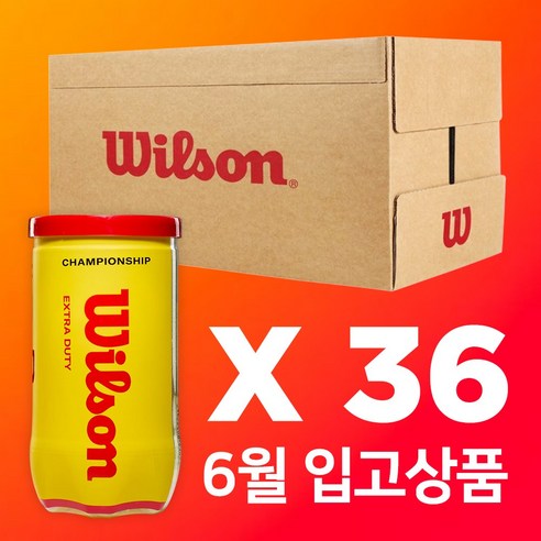 윌슨 테니스공 36캔 시합구 1박스, 라임, 72개