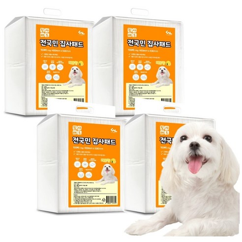 씨엔앨라이프 전국민 집사 레몬향 배변패드 솔직 후기 | 실사용자 리뷰 분석 썸네일