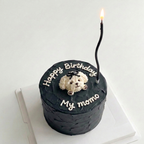 웨이브초 5팩 케이크초 생일초, 30개, 6g, 블랙