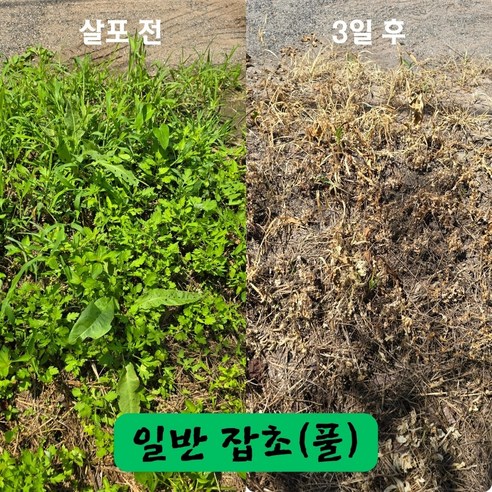 천연 재료 풀 잡초 제거제로 번거로운 풀 뽑기 끝내고 싱그러운 마당에서 여유를 되찾으세요