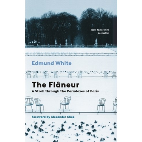 (영문도서)The Flaneur: A Stroll Through the Paradoxes of Paris Paperback, Bloomsbury Publishing, English, 9798260200162