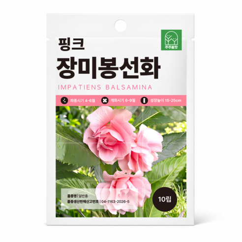 주주씨앗 키작은 장미봉선화 씨앗 10립 왜성종 핑크 봉선화 종자 씨 꽃씨앗, 1개