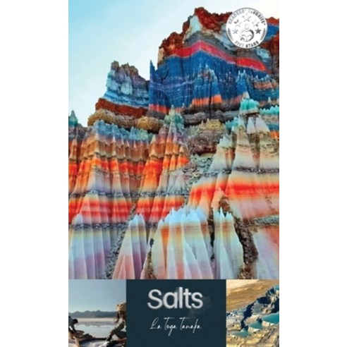 (영문도서)Salts Paperback, Harvard Square Editions, English, 9781947386037