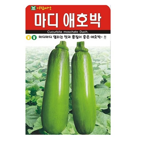 아람종묘 마디애호박 씨앗 20립, 1개