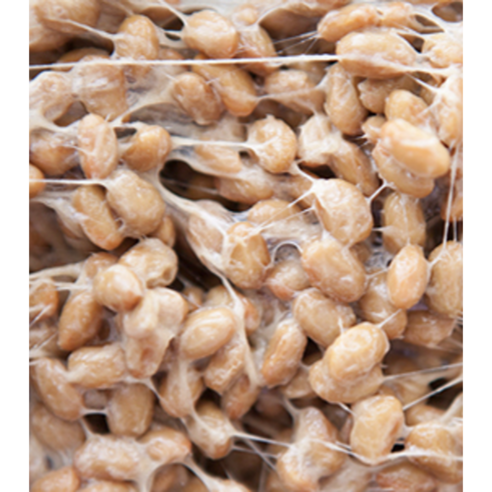 평창나또 노란콩나또36 / 국산콩 100% 50g, 36개 맛있게 먹은 솔직 후기 - 상품 이미지 4