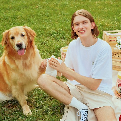 허레이 멜팅페이퍼 반려동물 물티슈 동물용의약외품 인증 솔직 후기 | 실제 사용자 리뷰 총정리 - 상품 이미지 3