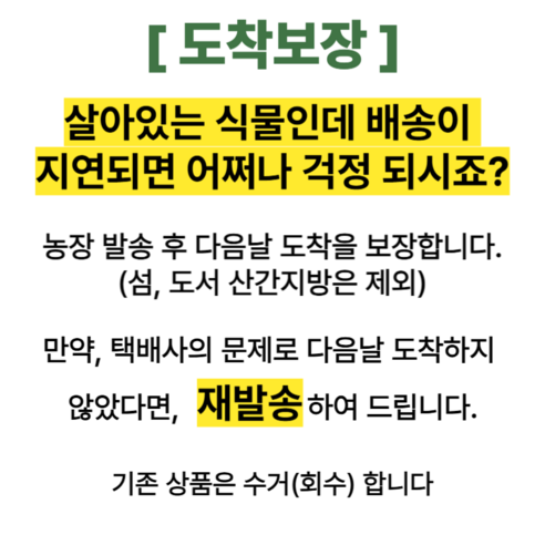 뮤토 친환경인증 [핏 캣그라스] 생화 귀리 새싹 가성비갑 신선한 고양이 간식 캣글라스 이미지 2