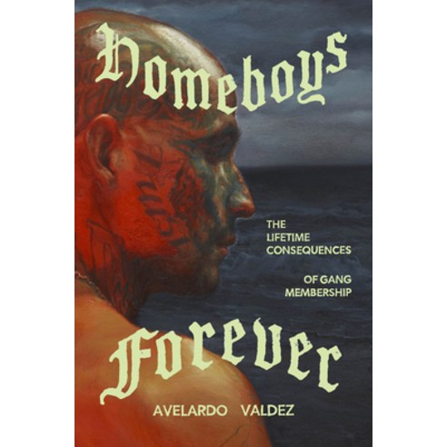(영문도서)Homeboys Forever: The Lifetime Consequences of Gang Membership Paperback, University of Chicago Press, English, 9780226848396