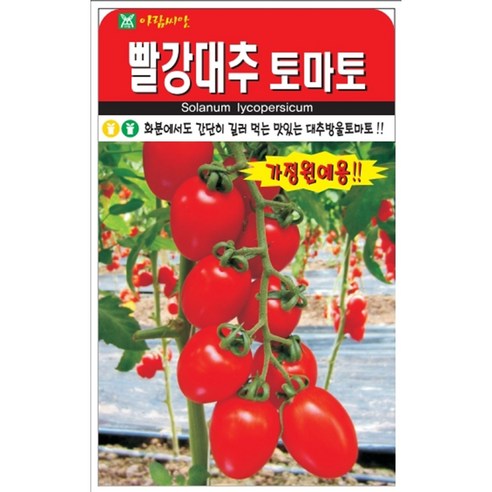 아람종묘 빨강대추 토마토 씨앗 30p, 1개 1개