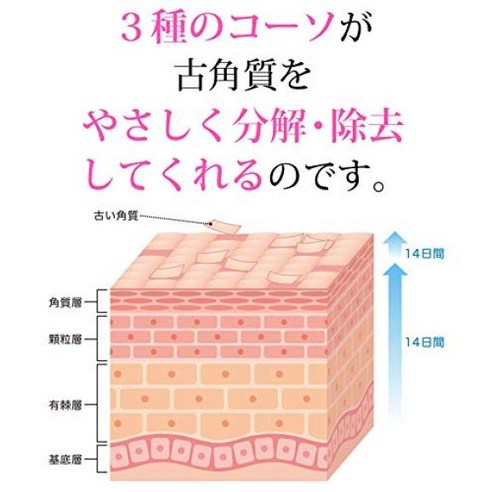 르·아드 천연 효소 세안료 파우더 프레쉬 67g×3봉투(201g 리필용 대용량 덕용) 이미지 3