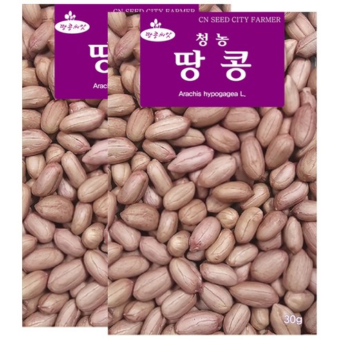 세인화분 땅콩씨앗 30g 땅콩 씨앗 땅콩씨 파종 종자, 2개