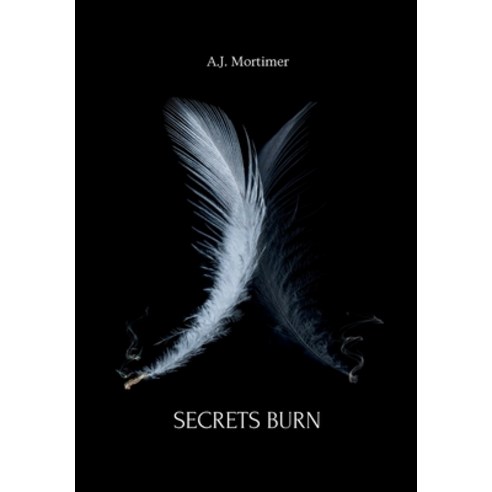 (영문도서)Secrets Burn Hardcover, A.J.Mortimer, English, 9781919339023